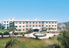 The Role of Internships in B.Sc.